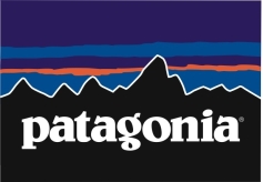 patagonia_logo